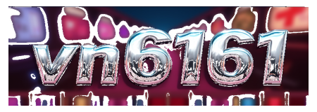 vn6161 logo